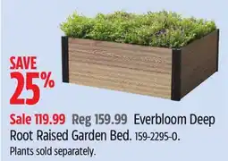 Canadian Tire Everbloom Deep Root Raised Garden Bed offer