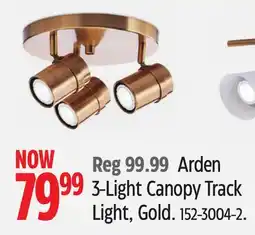 Canadian Tire Canvas Arden 3-Light Canopy Track Light offer
