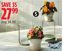 Canadian Tire Canvas Calla 2-Pack Plant Stand with Saucers offer