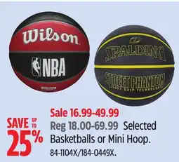 Canadian Tire Spalding Selected Basketballs or Mini Hoop offer