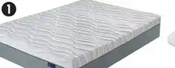 Canadian Tire Serta Chinook Mattress-to-Go offer
