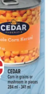 Marché Adonis CEDAR Corn in grains or mushroom in pieces offer