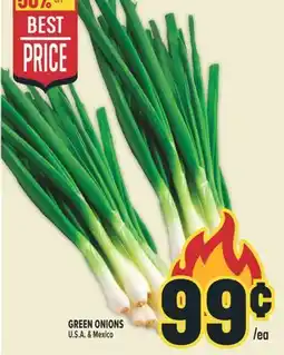 Marché Adonis GREEN ONIONS offer