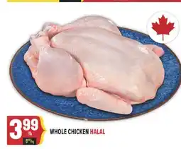 Marché Adonis WHOLE CHICKEN HALAL offer