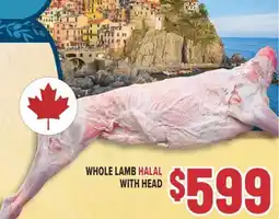 Marché Adonis WHOLE LAMB HALAL WITH HEAD offer