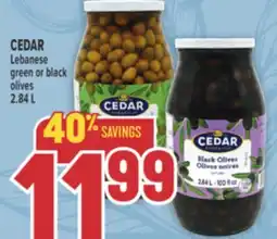 Marché Adonis CEDAR Lebanese green or black offer