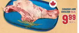 Marché Adonis CANADIAN LAMB SHOULDER HALAL offer