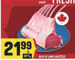 Marché Adonis RACK OF LAMB LOIN HALAL offer