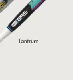 Sport Chek EASTON TANTRUM SLOWPITCH BAT offer