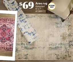 Giant Tiger Area rug offer
