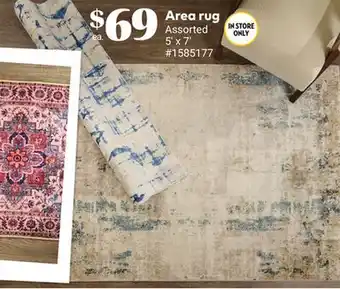 Giant Tiger Area rug offer