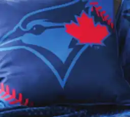 Giant Tiger Licensed throw offer