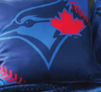 Giant Tiger Licensed throw offer