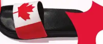 Giant Tiger women's or men's slides offer
