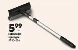 Giant Tiger Extendable squeegee offer