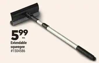 Giant Tiger Extendable squeegee offer