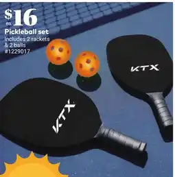 Giant Tiger Pickleball set offer