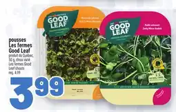 Metro POUSSES LES FERMES GOOD LEAF | LES FERMES GOOD LEAF SHOOTS offer
