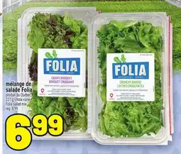 Metro MÉLANGE DE SALADE FOLIA | FOLIA SALAD MIX offer