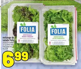 Metro MÉLANGE DE SALADE FOLIA | FOLIA SALAD MIX offer