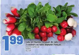 Metro RADIS EN FEUILLES, BOUQUET DE RADIS 3 COULEURS OU RADIS DÉJEUNER FRANÇAIS | RADISHES offer