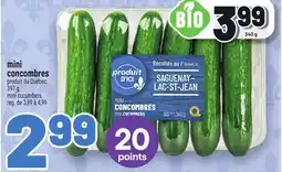 Metro MINI CUCUMBERS | MINI CUCUMBERS offer
