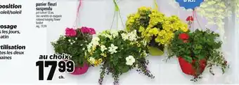 Metro COLORED HANGING FLOWER BASKET offer