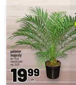 Metro PALMIER MAJESTY | MAJESTY PALM offer