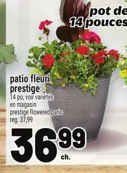Metro PATIO FLEURI PRESTIGE | PRESTIGE FLOWERED PATIO offer