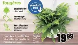 Metro FOUGÈRE | FERN offer