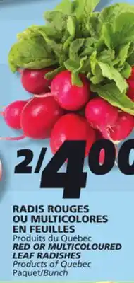 IGA RED OR MULTICOLOURED LEAF RADISHES offer