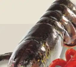 IGA COOKED FRESH OR LIVE LOBSTER offer