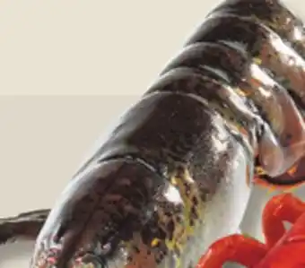 IGA COOKED FRESH OR LIVE LOBSTER offer