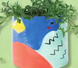 IGA PLANTS IN BIRD PLANT POT offer