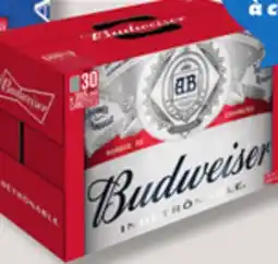 IGA BUDWEISER BEER offer