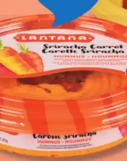 IGA LANTANA HUMMUS offer