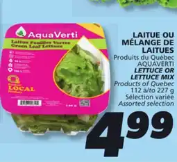 IGA AQUAVERTI LETTUCE OR LETTUCE MIX offer