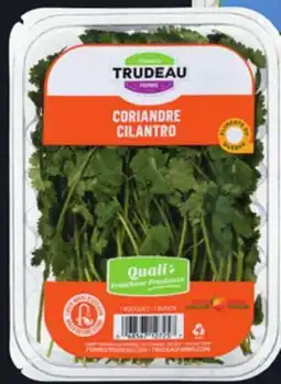 IGA FERMES TRUDEAU CORIANDER offer
