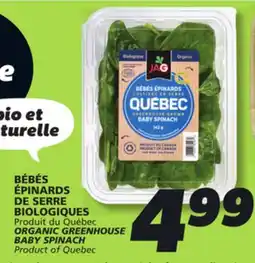 IGA ORGANIC GREENHOUSE BABY SPINACH offer
