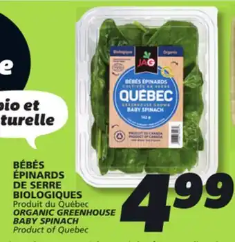 IGA ORGANIC GREENHOUSE BABY SPINACH offer