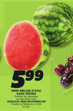 IGA SEEDLESS MINI WATERMELON offer