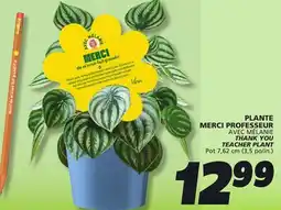 IGA THANK YOU TEACHER PLANT offer