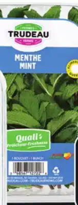 IGA MINT offer