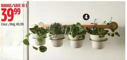Canadian Tire Canvas 4-Piece Wall Mounted Planter offer