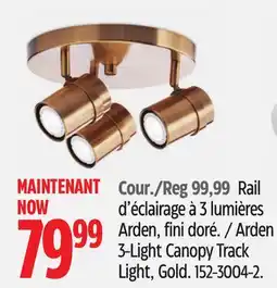 Canadian Tire Arden 3-Light Canopy Track Light, Gold offer