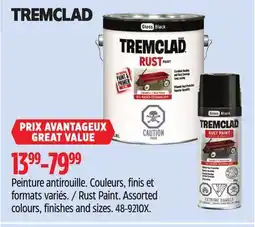 Canadian Tire Rust Paint offer