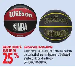 Canadian Tire Selected Basketballs or Mini Hoop offer