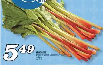 Marché Richelieu RHUBARBE | RHUBARB offer