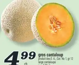 Marché Richelieu GROS CANTALOUP | LARGE CANTALOUPE offer