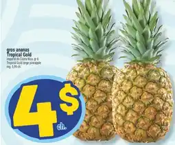 Marché Richelieu GROS ANANAS TROPICAL GOLD | TROPICAL GOLD LARGE PINEAPPLE offer